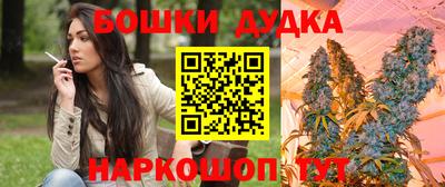 2c-b Новозыбков