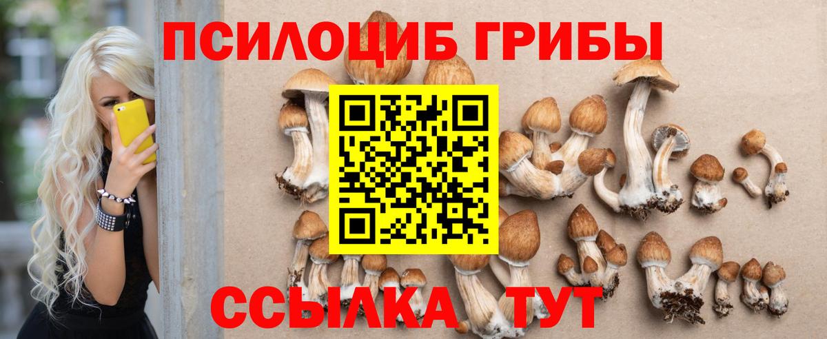 Томск  Псилоцибиновые грибы Psilocybine cubensis  Вход с VPN 