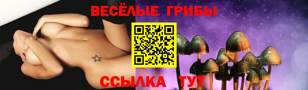 Псилоцибиновые грибы прущие грибы Томск